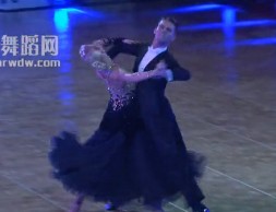 2012WDSF(jing)ِ(bio)(zhn)豱QِSOLOAƝ ZharkovDmitry KulikovaMlga