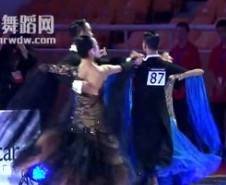 2012WDSF(jing)ِ(bio)(zhn)豱һ݆̽ ϼ