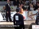2013WDCWI\ِ˷֮һQِǡǡSkufka Andrej - Torokgyorg