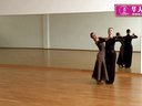 赸̌W(xu)֮AƝ赸WDSF Technique Books  The Waltz