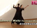 SҲ{AƝļViennese Waltz Technique