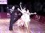 2013WDCI16qM迵PԵţ